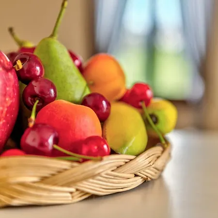 Anemologio Apartman Fínikasz