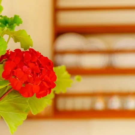 Anemologio Apartman Fínikasz