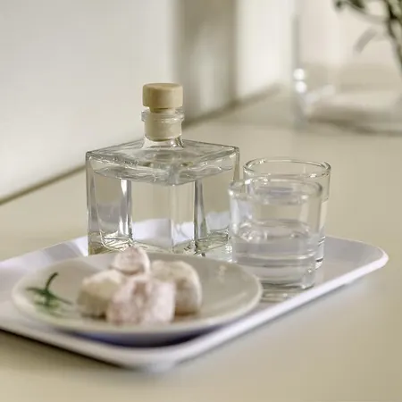 Appartement Anemologio
