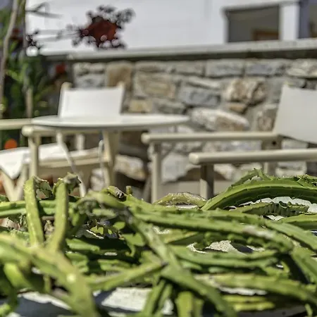 Anemologio Apartman *