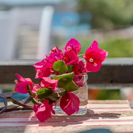 Διαμέρισμα ανεμολόγιο *