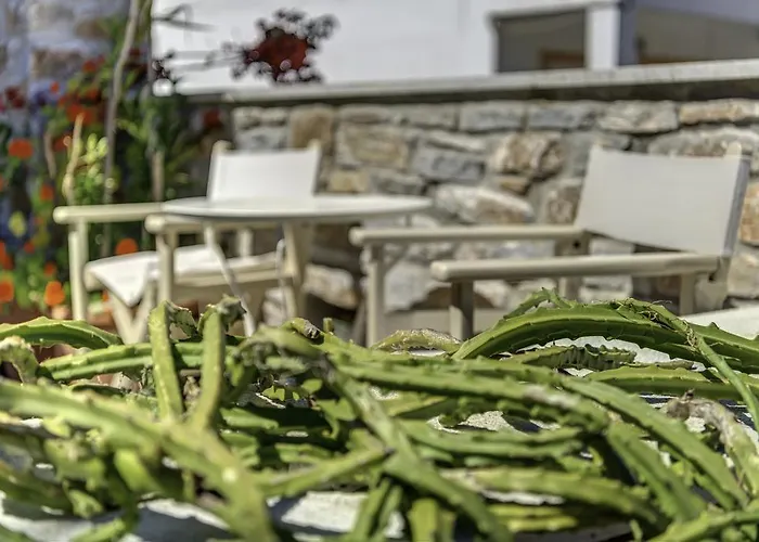 Anemologio Appartement *