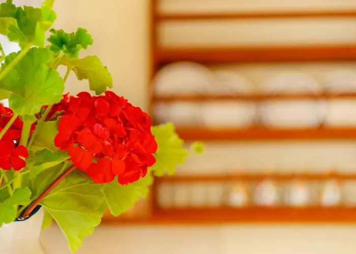 Anemologio Appartement Finikas (Syros)