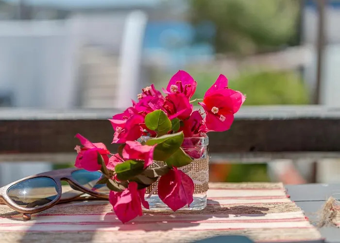 Appartement Anemologio *